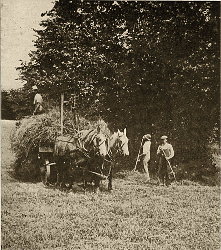 Collecting Hay, 1918