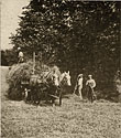 Collecting Hay, 1918